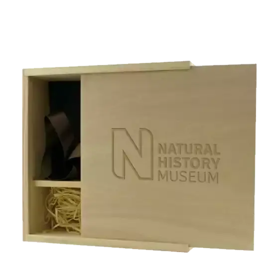 Large Wooden USB Photo Box