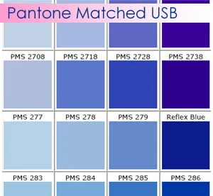 Pantone Matched Promotional USB Shell
